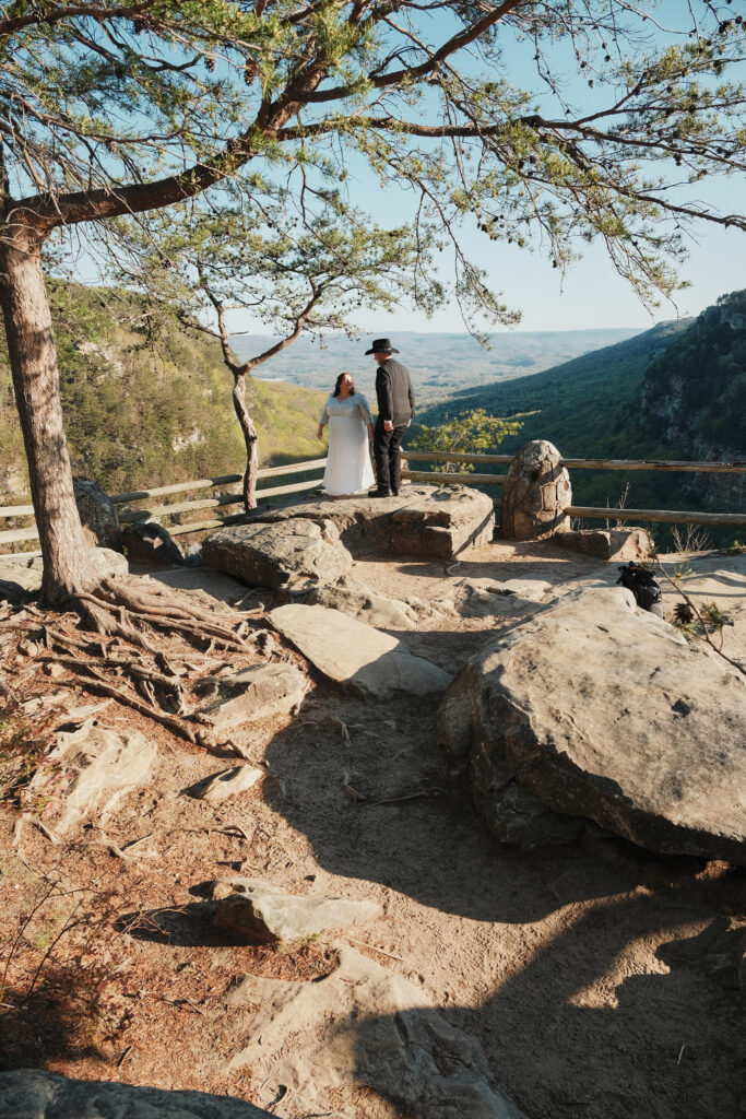 Couple getting married on cliff overlooking a valley.