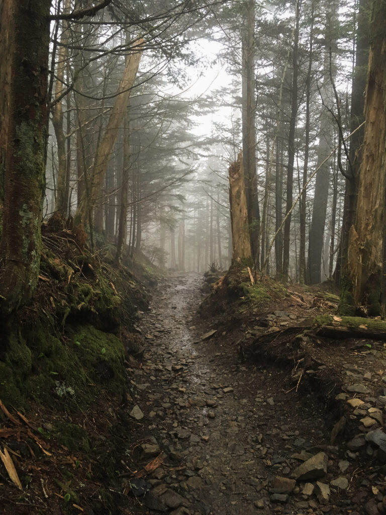 Foggy trail in the Great Smoky Mountains of Tennessee.