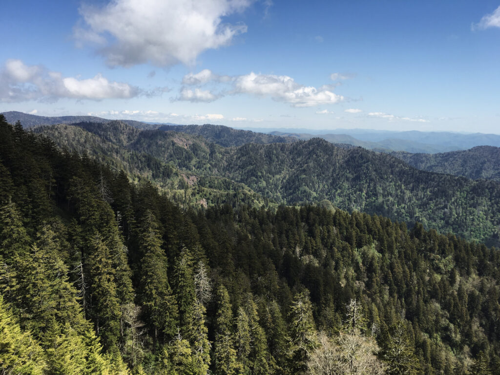 View of the Great Smoky Mountains in Tennessee.