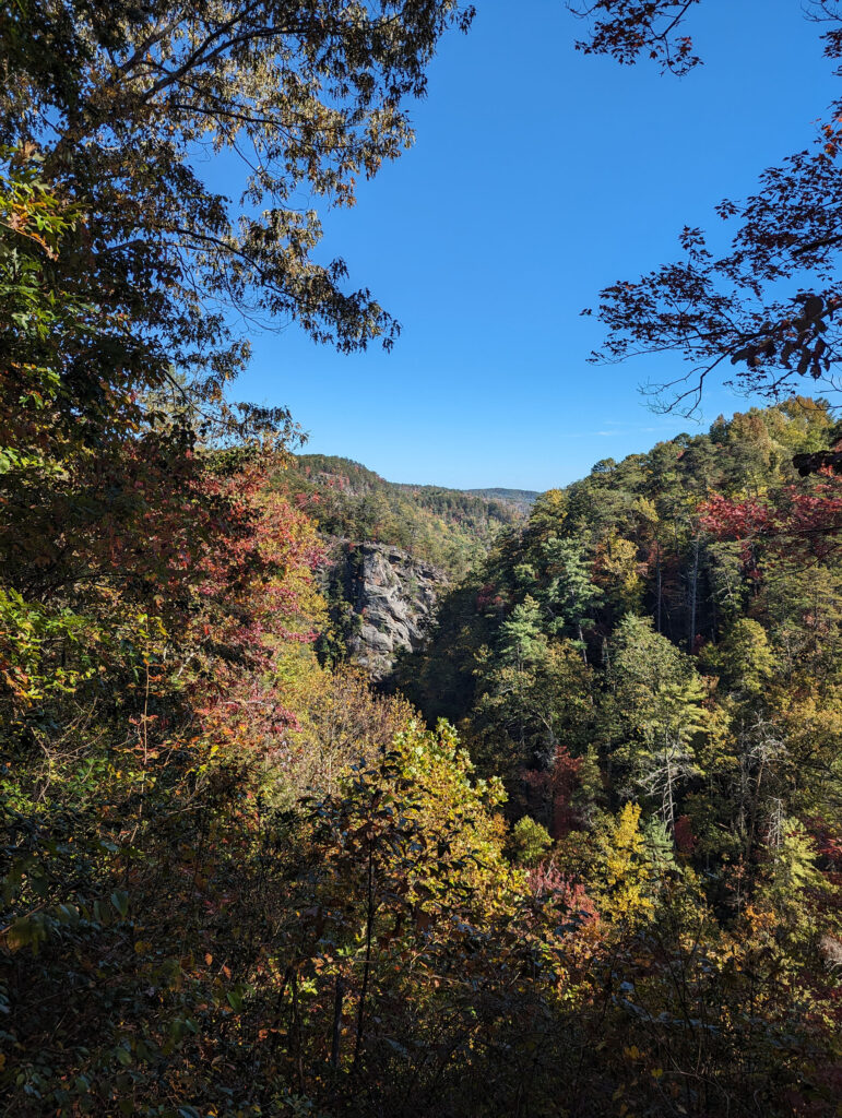 Fall colors start to show looking out into Cloudland Canyon