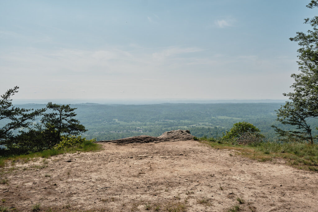 Lula Lake Bluff Overlook