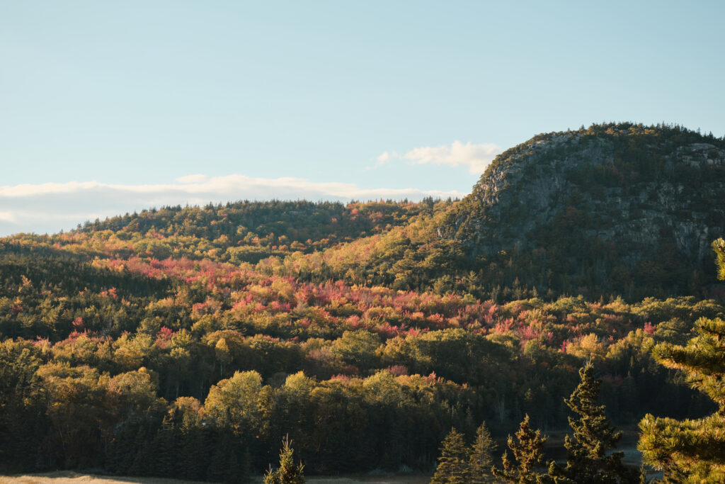 Fall views of Acadia National Park
